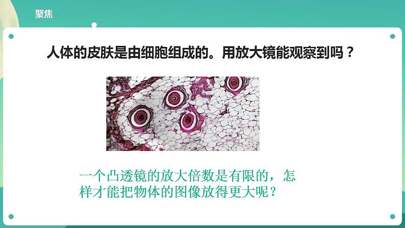 教科版六上科学  1.2《怎样放得更大》课件+教案+练习+素材04