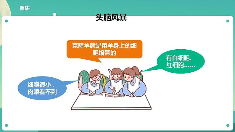 教科版六上科学  1.4《观察洋葱表皮细胞》课件+教案+练习+素材04