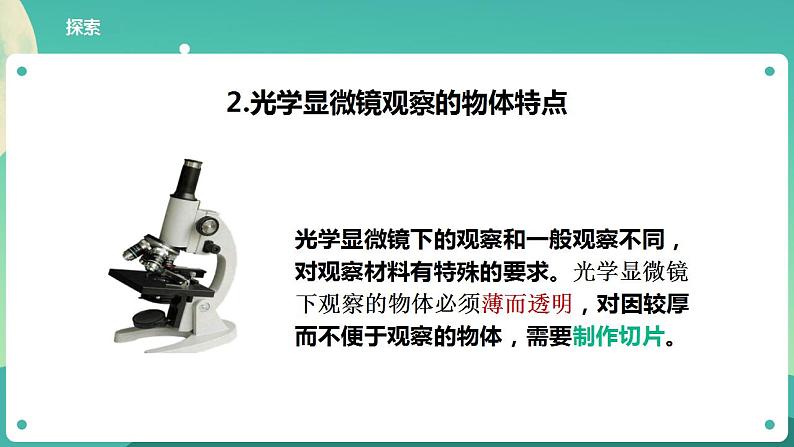 教科版六上科学  1.4《观察洋葱表皮细胞》课件+教案+练习+素材07