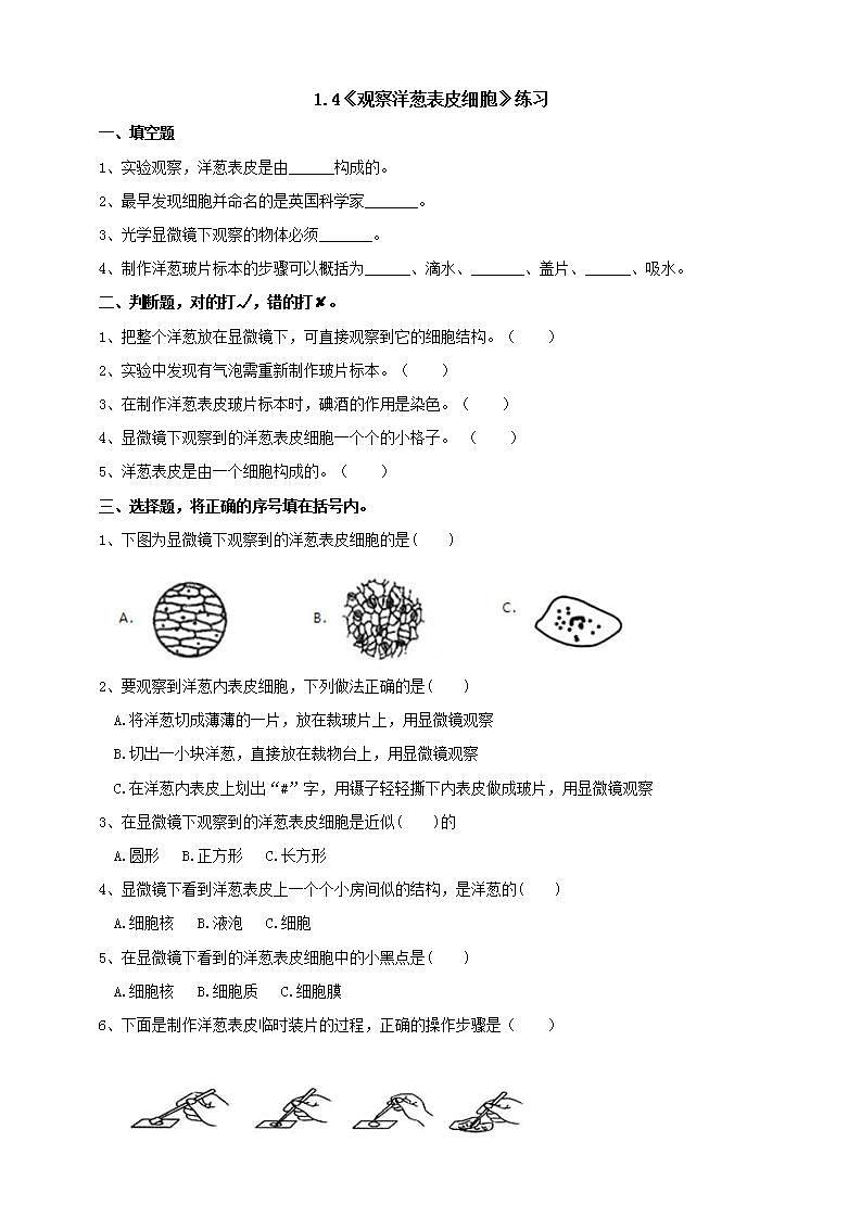 教科版六上科学  1.4《观察洋葱表皮细胞》课件+教案+练习+素材01