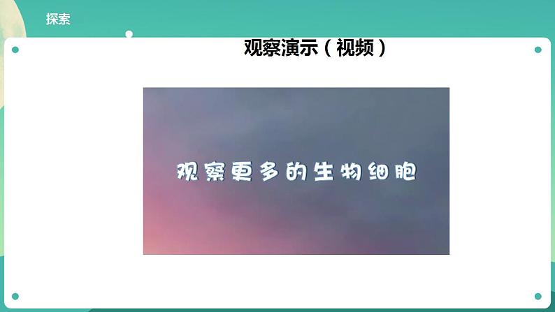 教科版六上科学  1.5《观察更多的生物细胞》课件+教案+练习+素材08