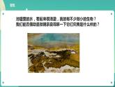 教科版六上科学  1.6《观察水中微小的生物》课件+教案+练习+素材