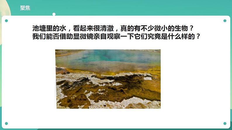 教科版六上科学  1.6《观察水中微小的生物》课件+教案+练习+素材05