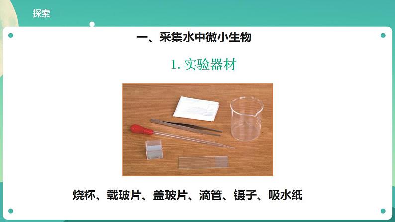 教科版六上科学  1.6《观察水中微小的生物》课件+教案+练习+素材06