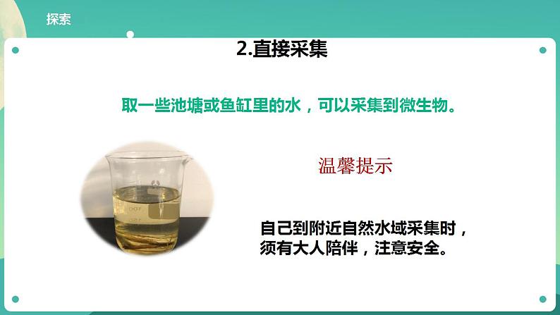 教科版六上科学  1.6《观察水中微小的生物》课件+教案+练习+素材07