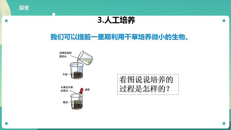 教科版六上科学  1.6《观察水中微小的生物》课件+教案+练习+素材08