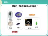 教科版六上科学  1.7《微生物与健康》课件+教案+练习+素材