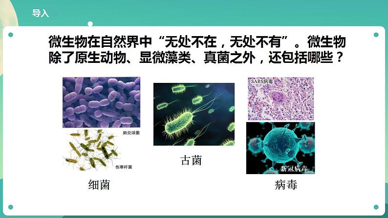 教科版六上科学  1.7《微生物与健康》课件+教案+练习+素材04