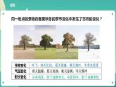 教科版六上科学  2.6《地球的公转与四季变化》课件+教案+练习+素材