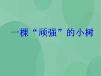 小学湘教版6 人类对地表变化的影响评优课ppt课件