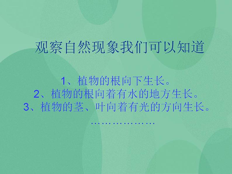 湘教版6上科学 1.1 一颗“顽强”的小树 课件第3页