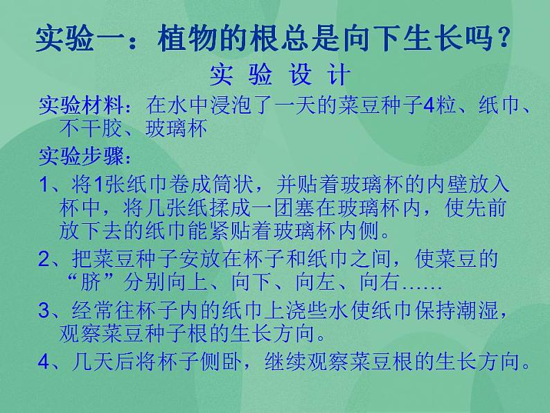 湘教版6上科学 1.1 一颗“顽强”的小树 课件第5页