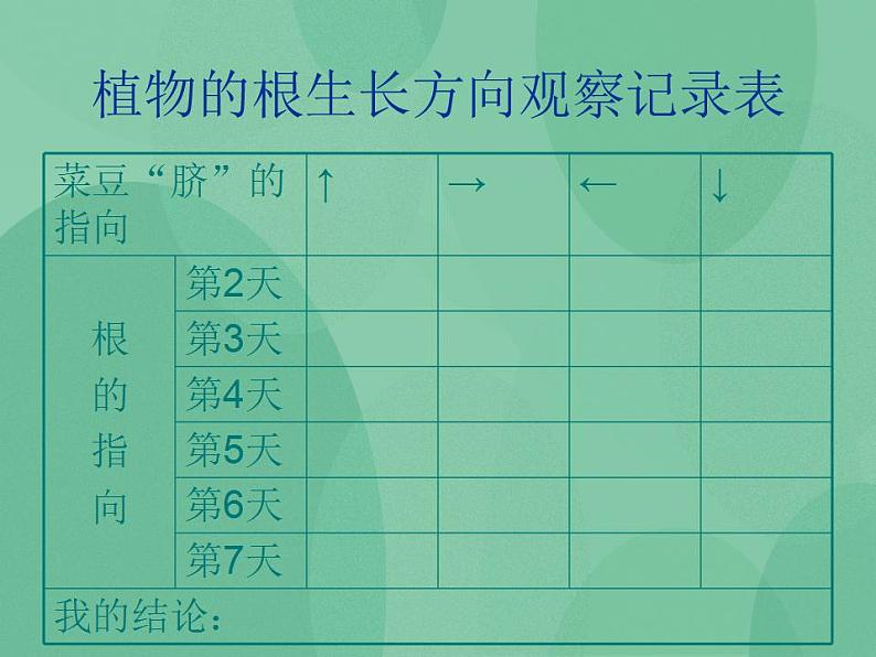 湘教版6上科学 1.1 一颗“顽强”的小树 课件第6页