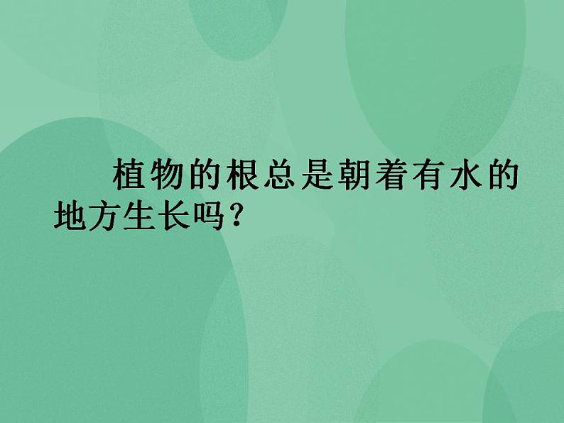 湘教版6上科学 1.1 一颗“顽强”的小树 课件第8页