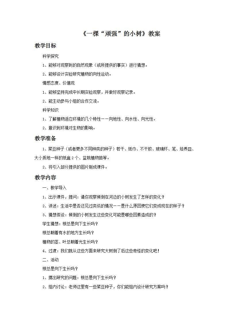 湘教版6上科学 1.1 一颗“顽强”的小树 教案第1页