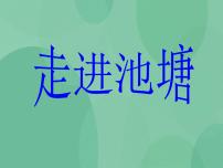 湘教版六年级上册3 走进池塘完美版ppt课件