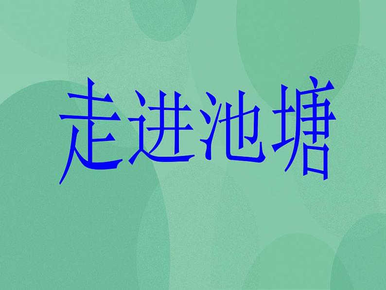 湘教版6上科学 1.3 走进池塘 课件第1页