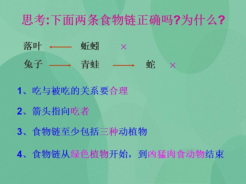 湘教版6上科学 1.3 走进池塘 课件第6页