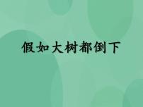 湘教版六年级上册4 假如大树都倒下精品课件ppt