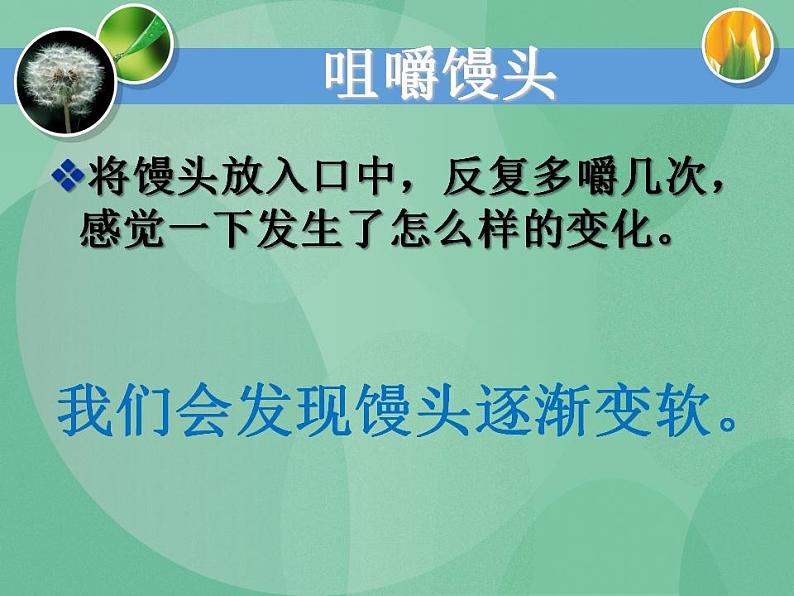 湘教版6上科学 2.2 消化与吸收 课件第2页