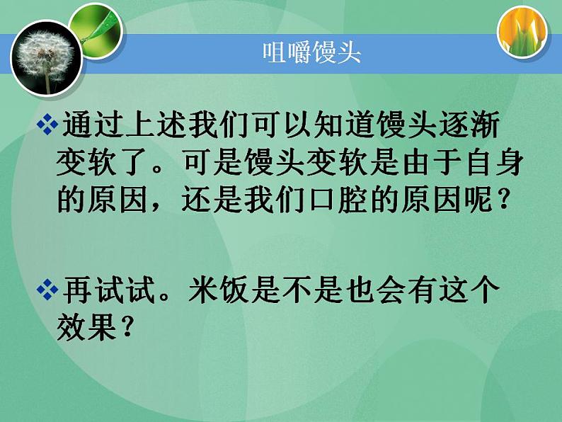 湘教版6上科学 2.2 消化与吸收 课件第3页