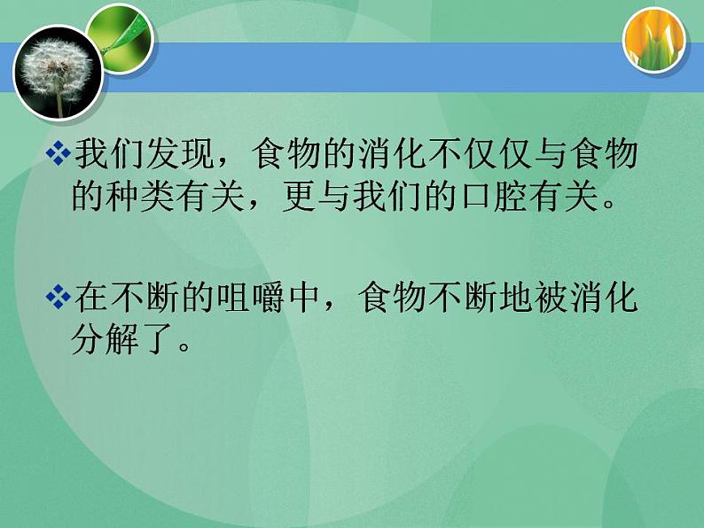 湘教版6上科学 2.2 消化与吸收 课件第4页