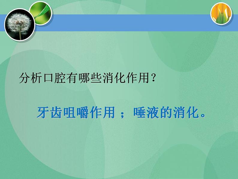 湘教版6上科学 2.2 消化与吸收 课件第5页