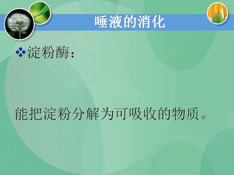 湘教版6上科学 2.2 消化与吸收 课件第6页