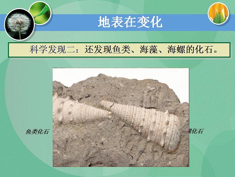 湘教版6上科学 3.1 地表在变化 课件第4页