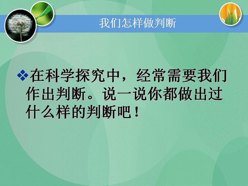 湘教版6上科学 6.1 我们怎样做判断 课件+教案02