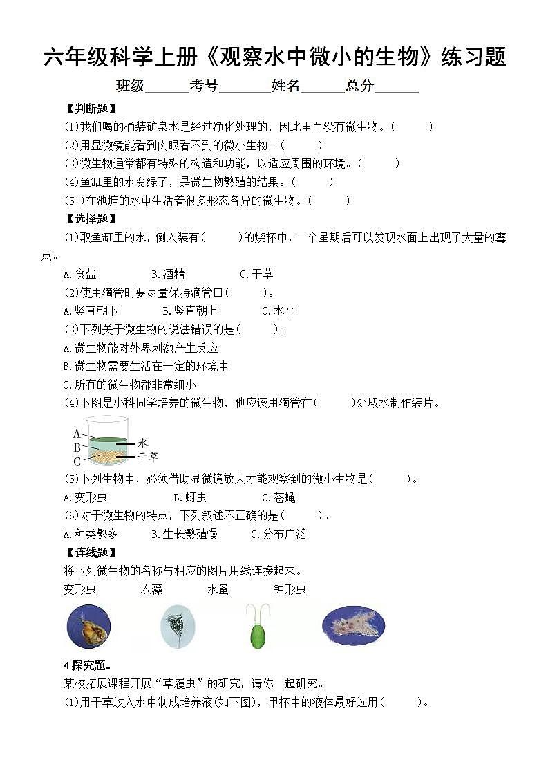 小学科学教科版六年级上册第一单元第6课《观察水中微小的生物》课堂练习题（附参考答案）（2022新版）01