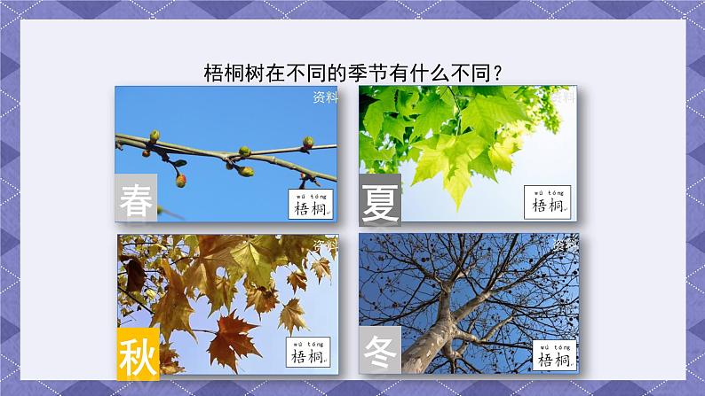 1.6《不同的季节》课件+教案+素材04