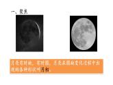 小學科學 教科版 三年級下冊《月相變化的規(guī)律》課件