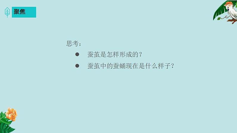 小学科学 教科版 三年级下册 蚕变了新模样 课件04