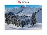 小学科学 教科版 三年级上册《水结冰了》课件