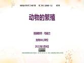 小学科学 教科版 三年级下册《动物的繁殖》课件