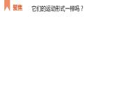 小学科学 教科版 三年级下册《各种各样的运动》课件