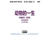 小学科学 教科版 三年级下册 动物的一生教学 课件