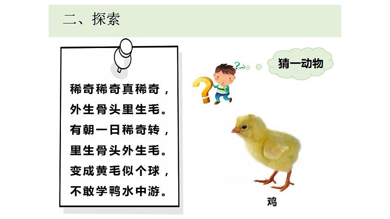 小学科学 教科版 三年级下册 动物的一生教学 课件07