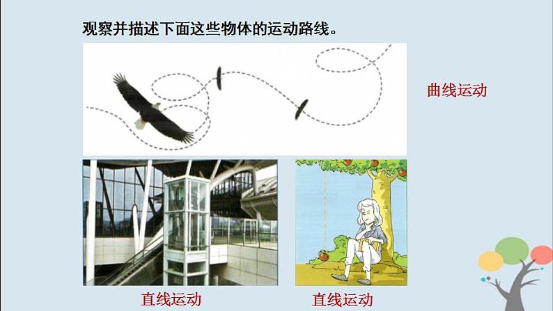 小学科学 教科版 三年级下册《直线运动和曲线运动》课件第4页