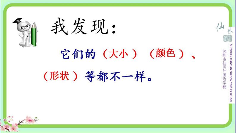 小学科学 教科版 三年级下册《认识其他动物的卵》课件第5页