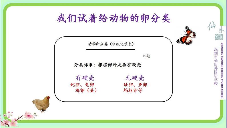 小学科学 教科版 三年级下册《认识其他动物的卵》课件第7页