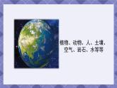 1.2《土壤—动植物的乐园》课件+教案+素材