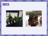 1.2《土壤—动植物的乐园》课件+教案+素材