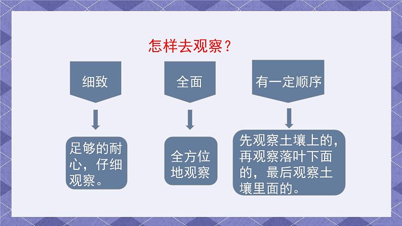 1.2《土壤—动植物的乐园》课件+教案+素材08