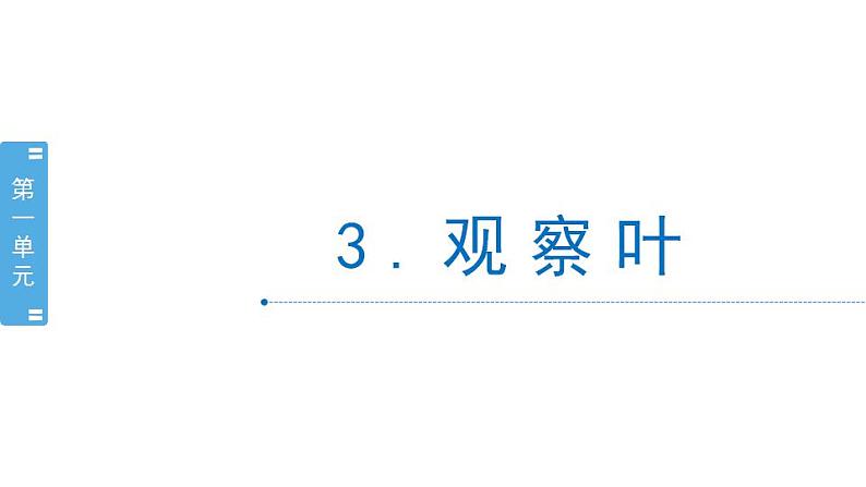 1.3《观察叶》科学一年级上册  教科版课件01