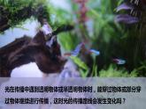 1.4《光的傳播方向會(huì)發(fā)生改變嗎》PPT課件+教案+視頻素材 教科版（2019）科學(xué)五上