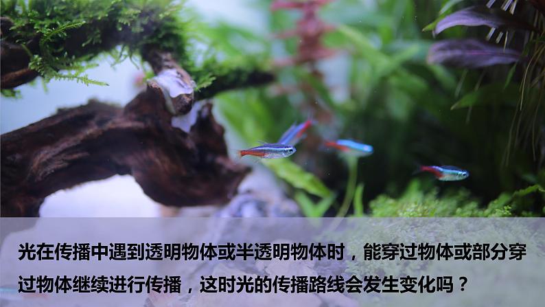 1.4《光的传播方向会发生改变吗》PPT课件+教案+视频素材 教科版（2019）科学五上04