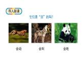 1.5《植物是“活”的嗎》科學(xué)一年級上冊-教科版課件