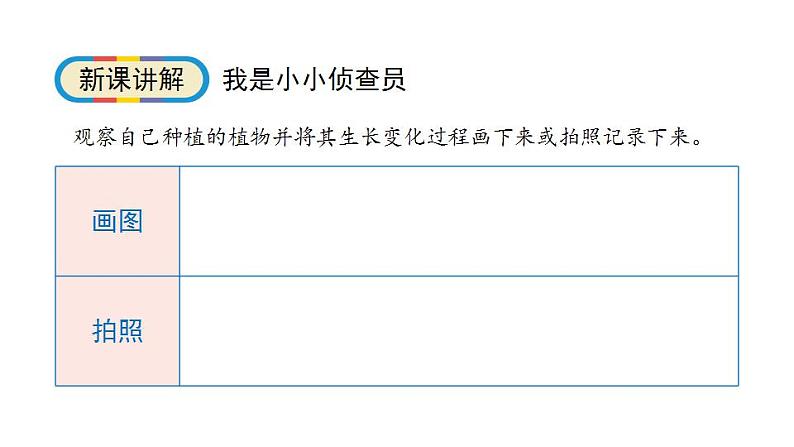 1.5《植物是“活”的吗》科学一年级上册-教科版课件04